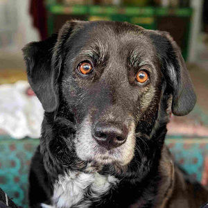 Meet your Posher, Rhys